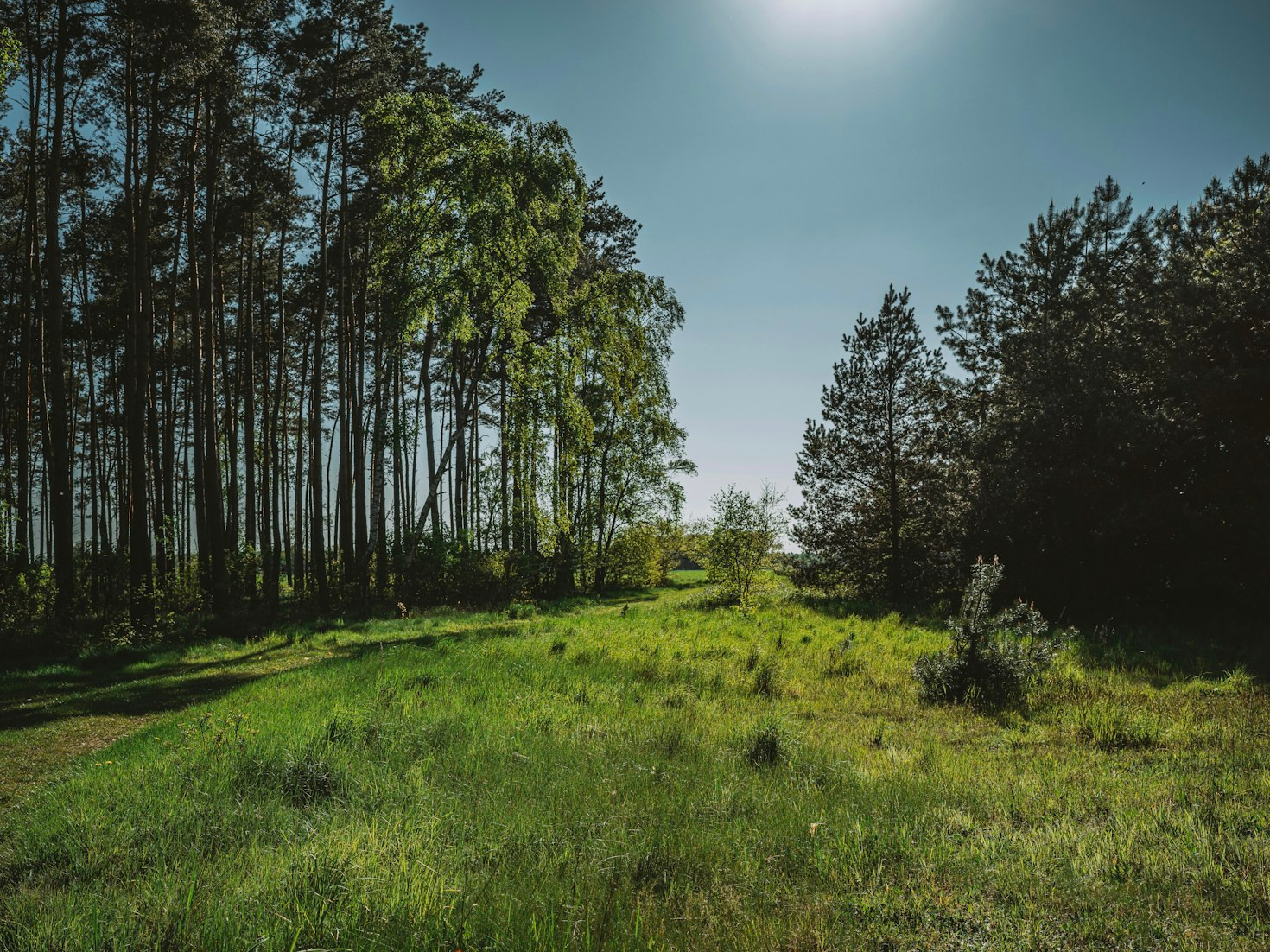 Die Bedeutung von Gemeinschaft für die Umwelt